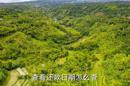 怎么看助學(xué)貸款已還款日，查看還款日期怎么查