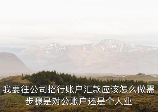 我要往公司招行賬戶匯款應(yīng)該怎么做需步驟是對公賬戶還是個人業(yè)