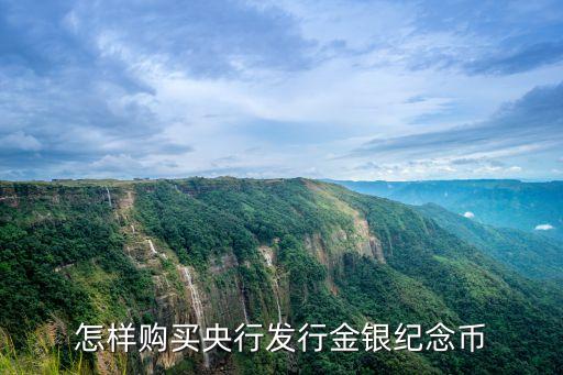 怎樣購買央行發(fā)行金銀紀(jì)念幣