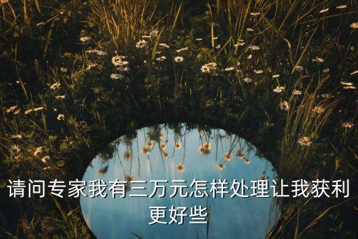請問專家我有三萬元怎樣處理讓我獲利更好些