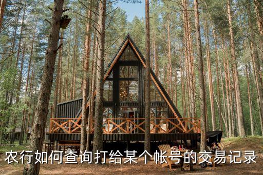 農(nóng)行如何查詢打給某個(gè)帳號(hào)的交易記錄