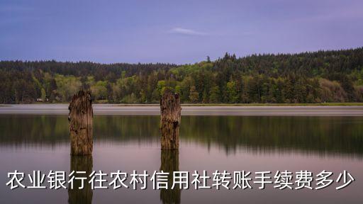 怎么往信用社賬戶(hù)轉(zhuǎn)賬手續(xù)費(fèi)是多少錢(qián)，農(nóng)業(yè)銀行往農(nóng)村信用社轉(zhuǎn)賬手續(xù)費(fèi)多少
