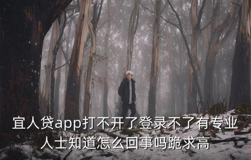 宜人貸手機(jī)怎么登陸，宜人貸app打不開了登錄不了有專業(yè)人士知道怎么回事嗎跪求高