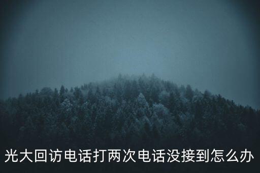 光大回訪電話打兩次電話沒接到怎么辦