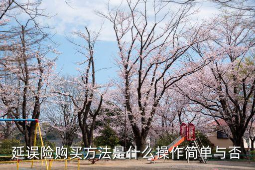 延誤險購買方法是什么操作簡單與否