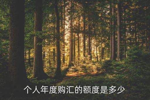 個(gè)人年度購(gòu)匯的額度是多少
