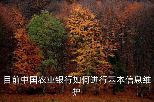 目前中國農(nóng)業(yè)銀行如何進行基本信息維護