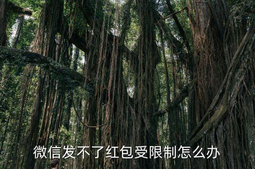 微信無法發(fā)紅包怎么辦，微信發(fā)不了紅包怎么辦