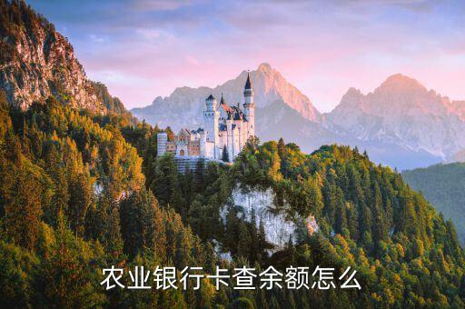 農(nóng)業(yè)銀行卡查余額怎么