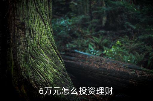 6萬(wàn)塊錢(qián)怎么投資，6萬(wàn)元能投資什么