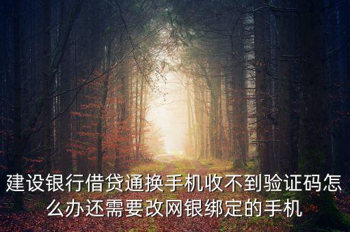 建行借貸通怎么不能用了怎么辦，建行手機(jī)銀行突然不能用了閃退但沒(méi)有任何錯(cuò)誤呀之類的提示