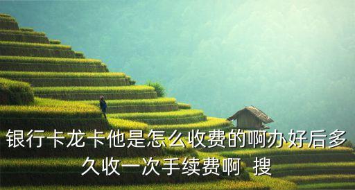 龍行信用卡怎么收費，各銀行信用卡收費標準