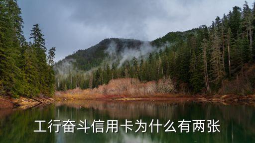 工行奮斗信用卡為什么有兩張