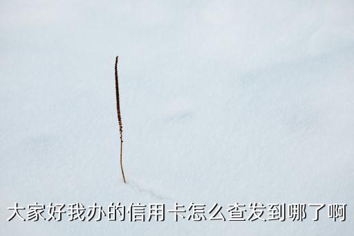 大家好我辦的信用卡怎么查發(fā)到哪了啊