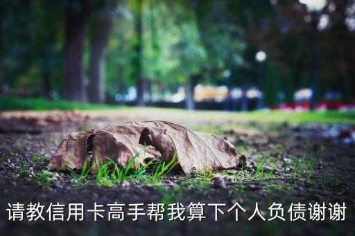 請教信用卡高手幫我算下個人負(fù)債謝謝