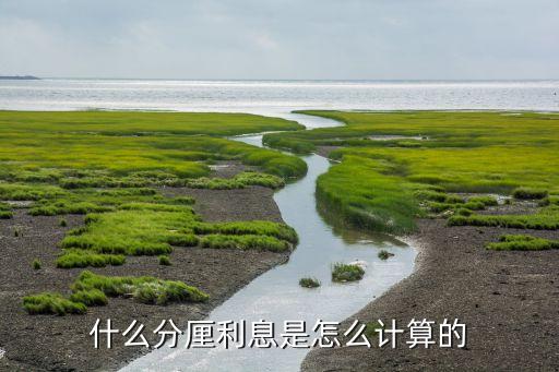 厘和分的利息怎么算，利息1厘是百分之幾1分是百分之幾