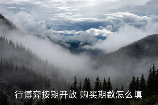 行博弈按期開放 購買期數(shù)怎么填