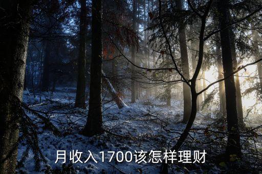 1700怎么理財(cái)，月收入1700左右如果理財(cái)