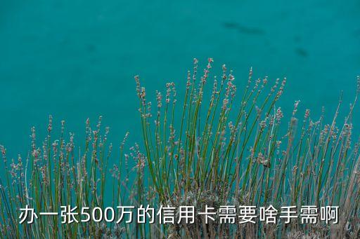 辦一張500萬的信用卡需要啥手需啊