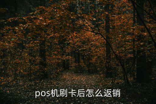 pos機(jī)刷卡后怎么返銷