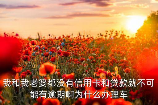 我和我老婆都沒有信用卡和貸款就不可能有逾期啊為什么辦理車