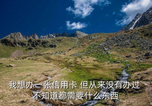 我想辦一張信用卡 但從來沒有辦過 不知道都需要什么東西
