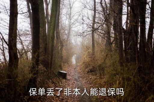 保單丟了非本人能退保嗎
