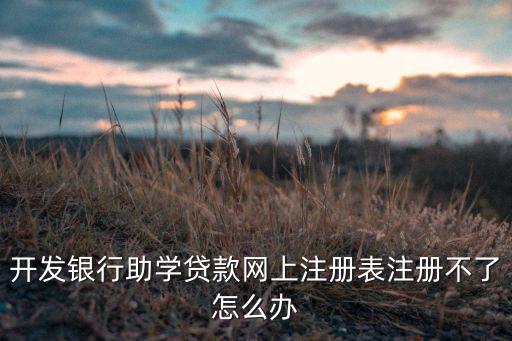 學(xué)生貸注冊(cè)不了怎么辦理嗎，在本地申請(qǐng)助學(xué)貸款光有申請(qǐng)表沒在網(wǎng)上注冊(cè)怎么辦求解