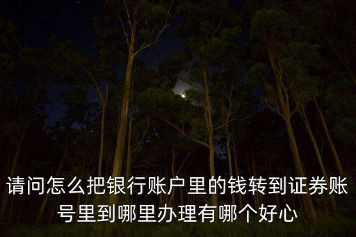 請問怎么把銀行賬戶里的錢轉(zhuǎn)到證券賬號里到哪里辦理有哪個好心