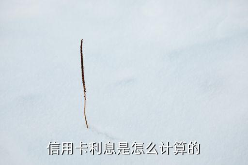 信用卡利息是怎么計(jì)算的