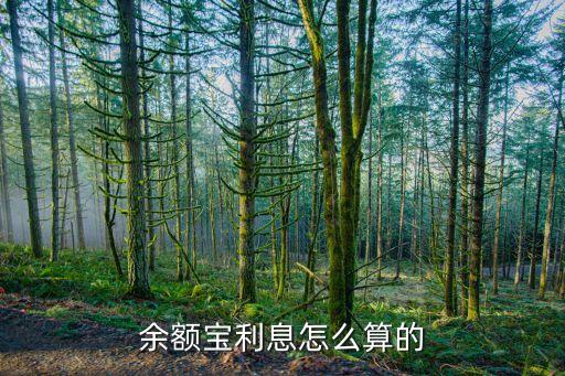 余額寶利息怎么算的