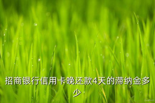 招商銀行信用卡晚還款4天的滯納金多少