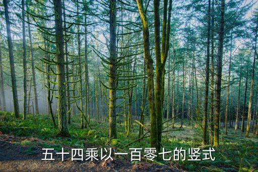 54 107應(yīng)該怎么算，某年級一班有學(xué)生51人二班有學(xué)生54人三四班一共有學(xué)生107