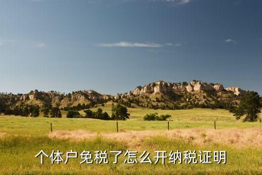 個(gè)體戶(hù)免稅了怎么開(kāi)納稅證明