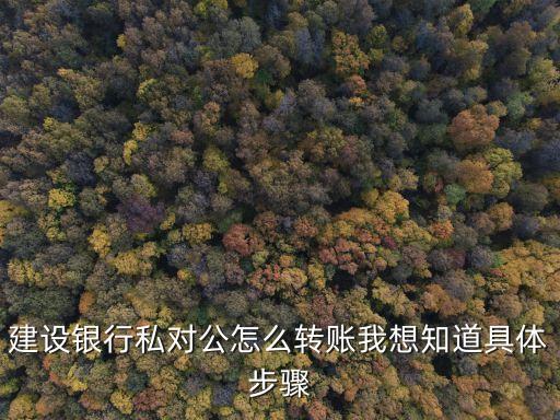建設(shè)銀行私對公怎么轉(zhuǎn)賬我想知道具體步驟