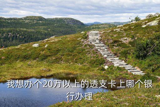 二十萬信用卡怎么辦理，我想辦個20萬以上的透支卡上哪個銀行辦理