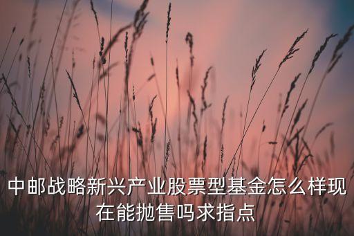 中郵戰(zhàn)略新興產(chǎn)業(yè)股票型基金怎么樣現(xiàn)在能拋售嗎求指點