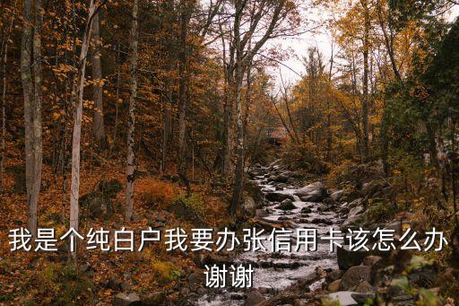 中銀白戶怎么申信用卡，我是個(gè)純白戶我要辦張信用卡該怎么辦謝謝