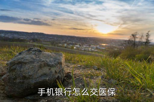 手機銀行怎么交醫(yī)保