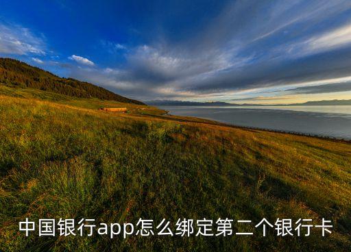 中國(guó)銀行app怎么綁定第二個(gè)銀行卡