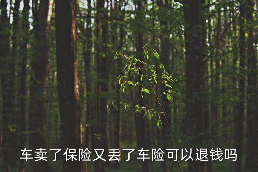 車賣了保險又丟了車險可以退錢嗎