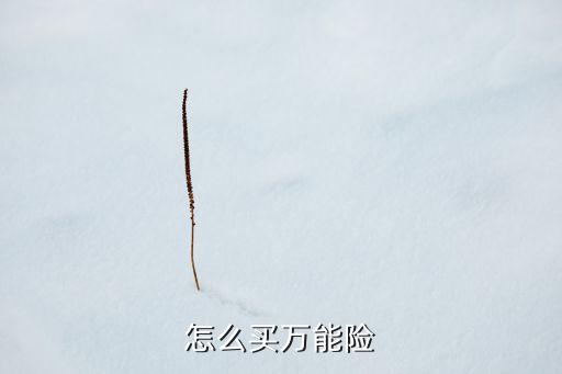 萬(wàn)能賬戶保險(xiǎn)怎么買，怎么買萬(wàn)能險(xiǎn)