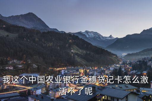 我這個(gè)中國(guó)農(nóng)業(yè)銀行金穗貸記卡怎么激活不了呢