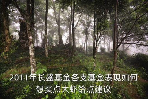 2011年長(zhǎng)盛基金各支基金表現(xiàn)如何想買點(diǎn)大蝦給點(diǎn)建議