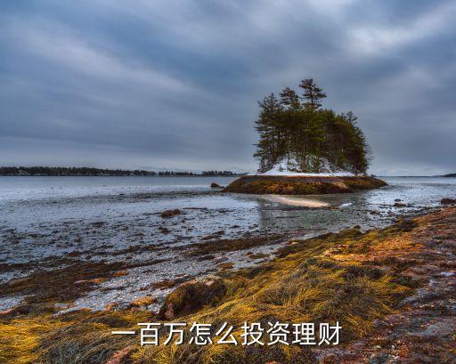 100萬(wàn)怎么理財(cái)投資理財(cái)，100萬(wàn)理財(cái)如何操作