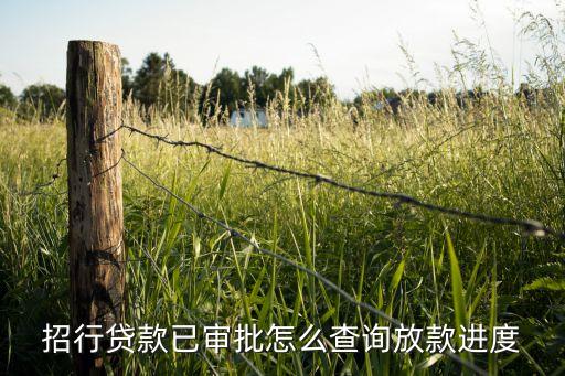 招行貸款已審批怎么查詢(xún)放款進(jìn)度