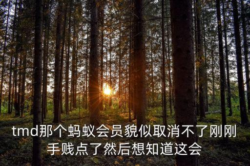 tmd那個螞蟻會員貌似取消不了剛剛手賤點了然后想知道這會