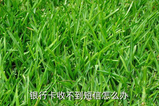 銀行卡收不到短信怎么辦