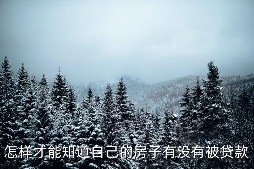 怎樣才能知道自己的房子有沒有被貸款