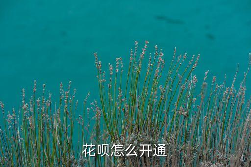 花唄怎么，螞蟻花唄如何快速支付